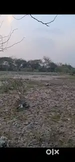 Big plot for rent