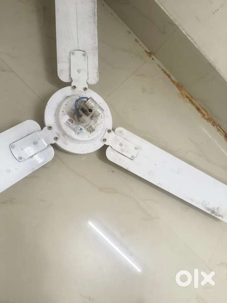 Ceiling Fan