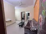 Brand new flats for rent