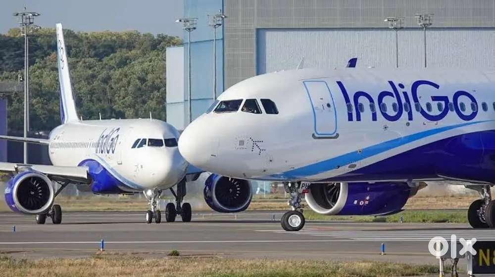 Indigo Airlines jobs /Vacancy for Airport Ground staf / Driver / Crew