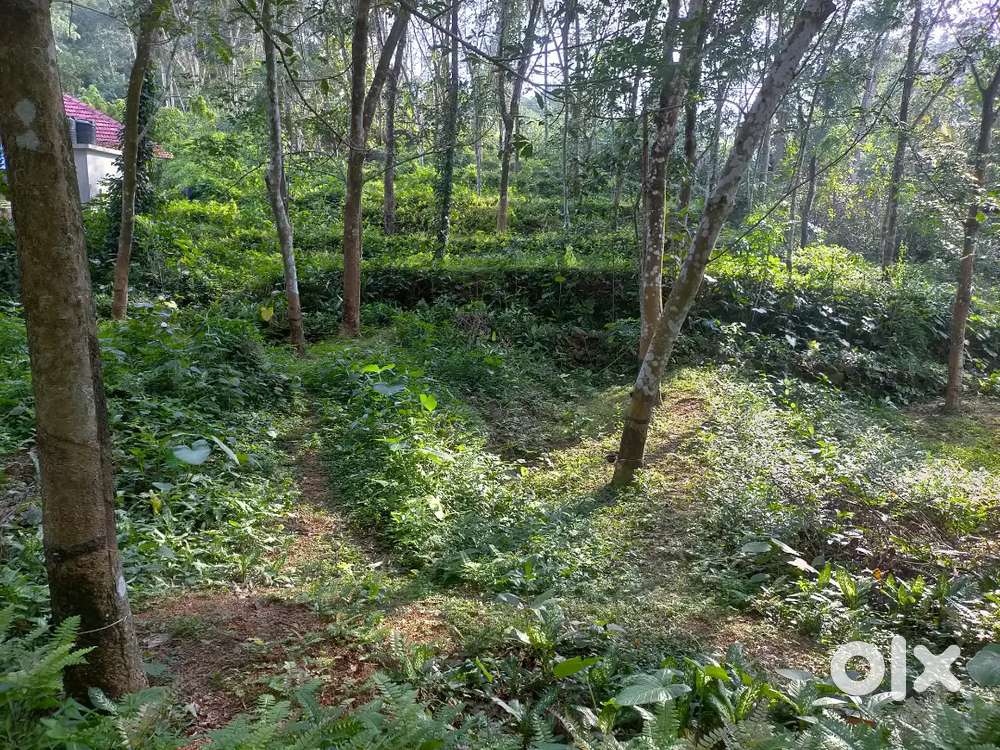 Plot for sale in vilappilsala