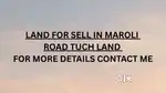 3 vigha land for selling
