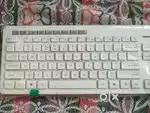 Zebronics zeb companion 500 wireless keyboard and mouse combo