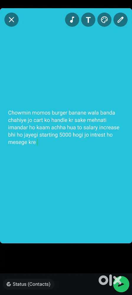 Fast food jese burger chowmin momos manchurian