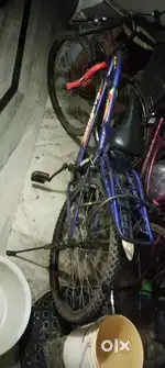 Ranger cycle