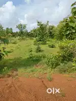 Taila jaga