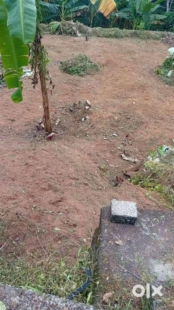 land for sale in Mylapra