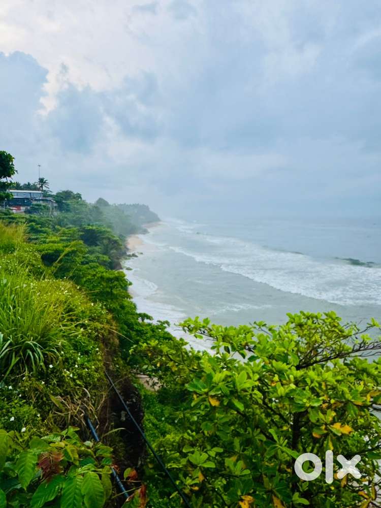 Male Staff Required Bike Rental office