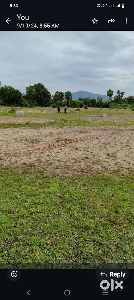 Panchayati land