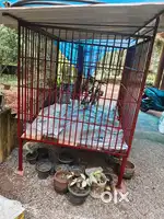 DOG CAGE, NEWLY PAINTED