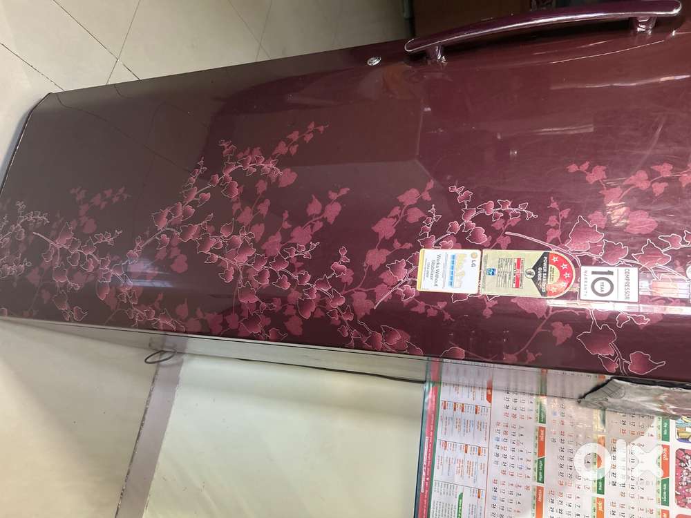 LG 5 STAR 270 LITRE FRIDGE