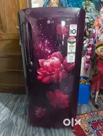 LG 190 Ltr. Fridge