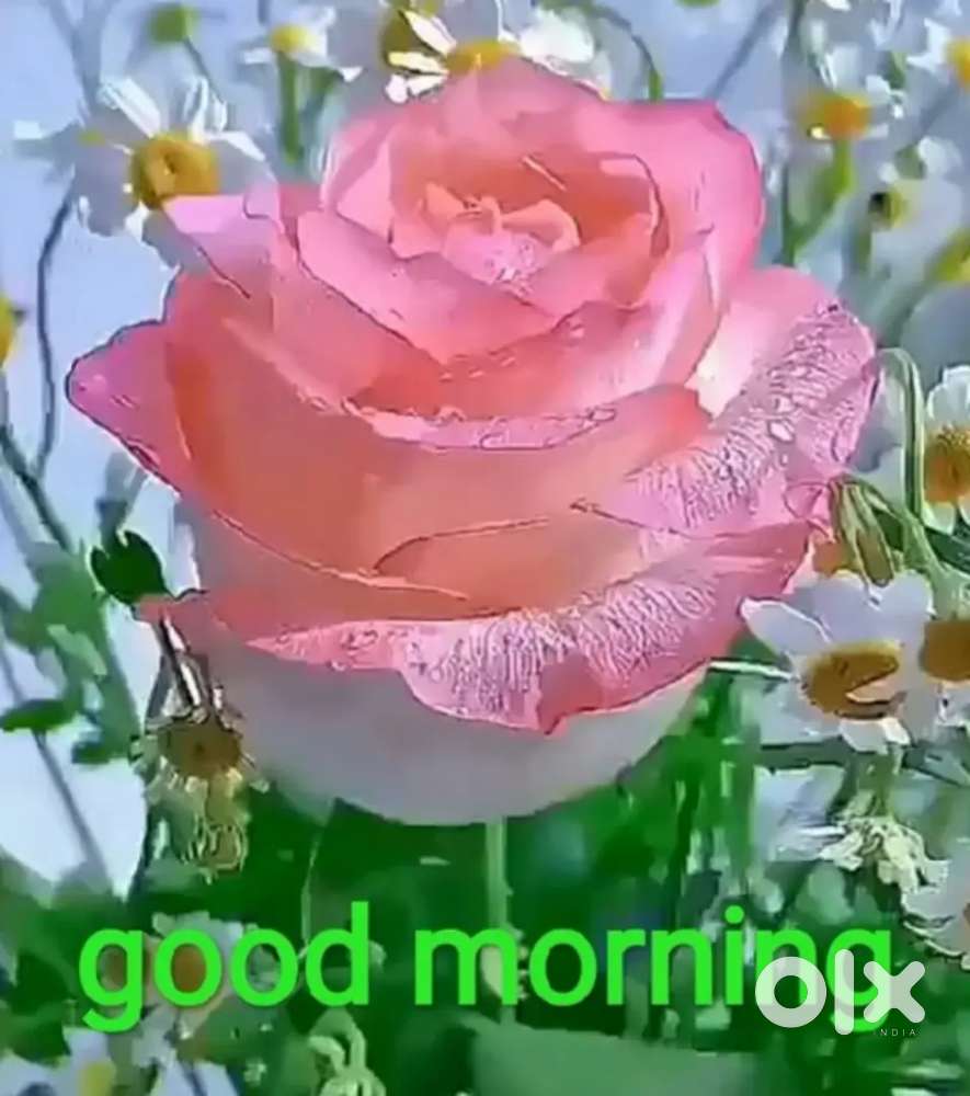 3.5 ekar land for sale mouja Chimnazari umred