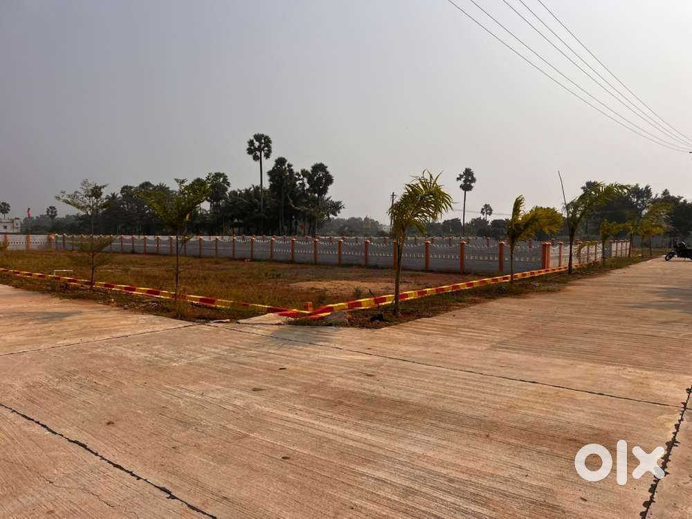 Kauda plots with cement roads