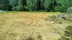 Plot for sale