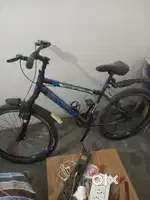 Wnt to sell cycle