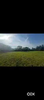10,000 square feet, Land for sale near manjakollai, Nagapattinam.