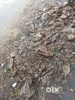 4.90 cents residential land at bejai kapikad 1 crore