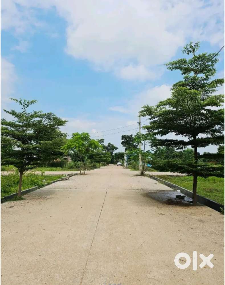 मंगला क्षेत्र में उपलब्ध है