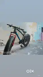 Fat cycle big tyre