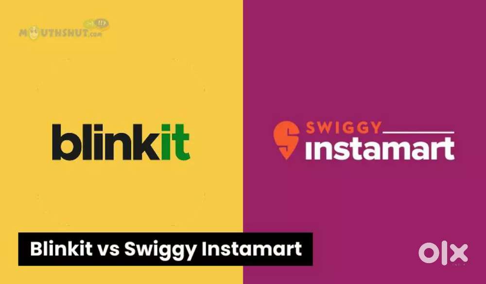 Wanted delivery in Vadodara Mandvi Blinkit and Swiggy Instamart
