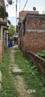 1 Biswa.  6 feet rasta