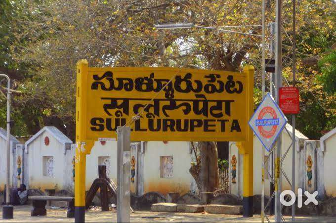 Land for sale in sullurpeta 15 ankanam