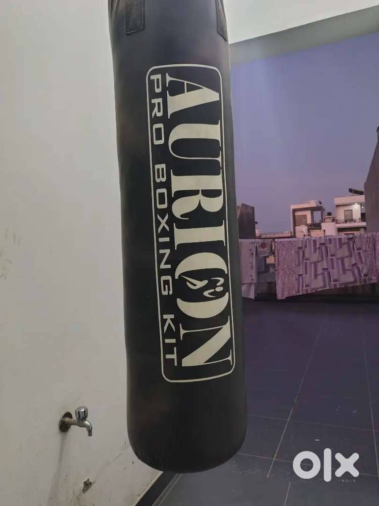 BIG BOXING PUNCHING BAG