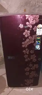 Fridge old refrigerator