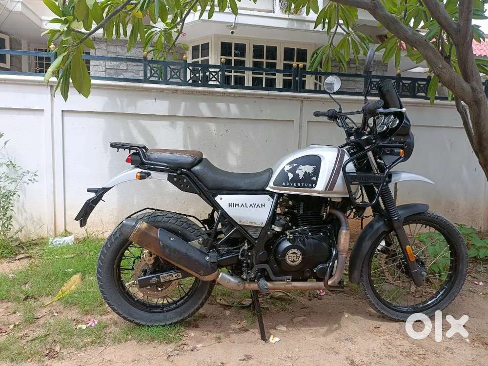 Rayalenfield Himalayan