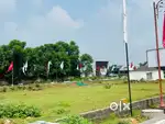 Live with peace
