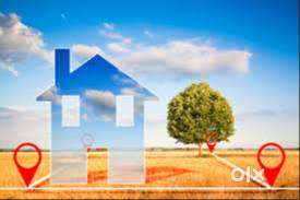 rausar rewa  plot available 450rs sqft