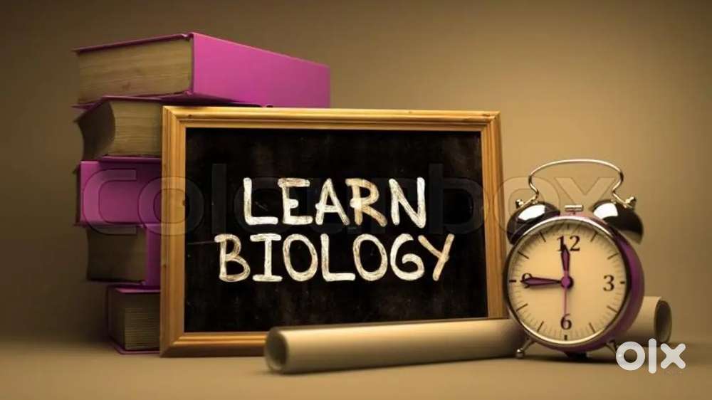 BIOLOGY TEACHER Here!