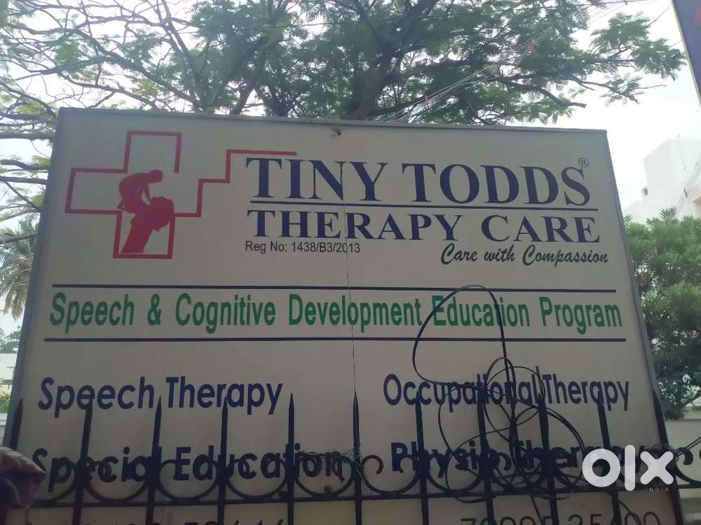 Teaching Job