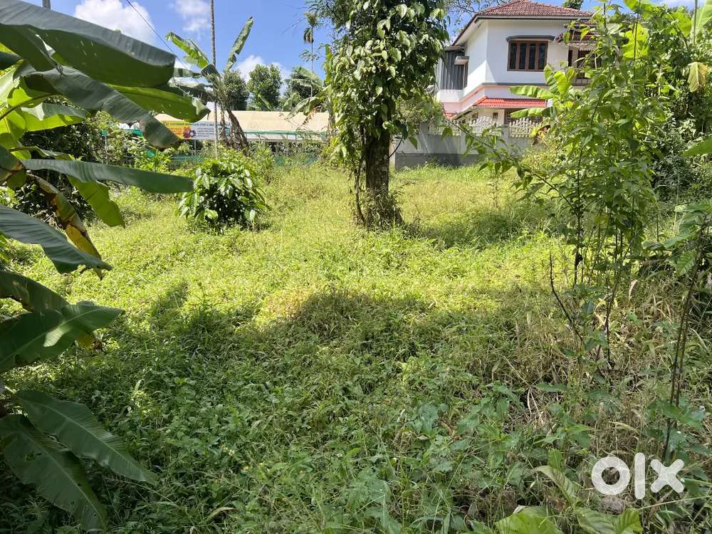 12 CENT HOUSE / COMMERCIAL PLOT FOR SALE IN MANANTHAVADY