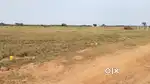 Pulicat land for sale per sq ft 475 only