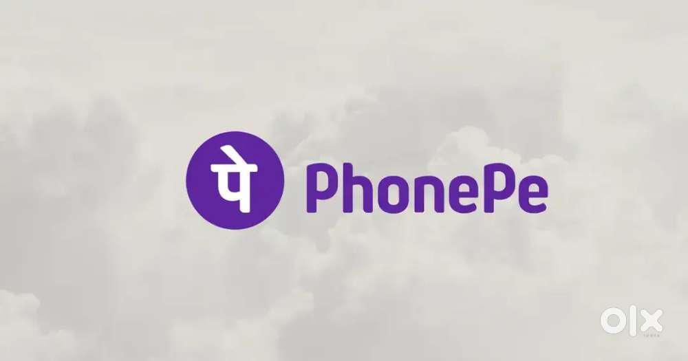 Phone Pe sales and marketing