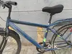 Very good cycle one year old