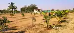 20 GUNTAS SUPER FARM LAND SALE AT KANDAPO HAMMA RESORVIOR -MARKOOK