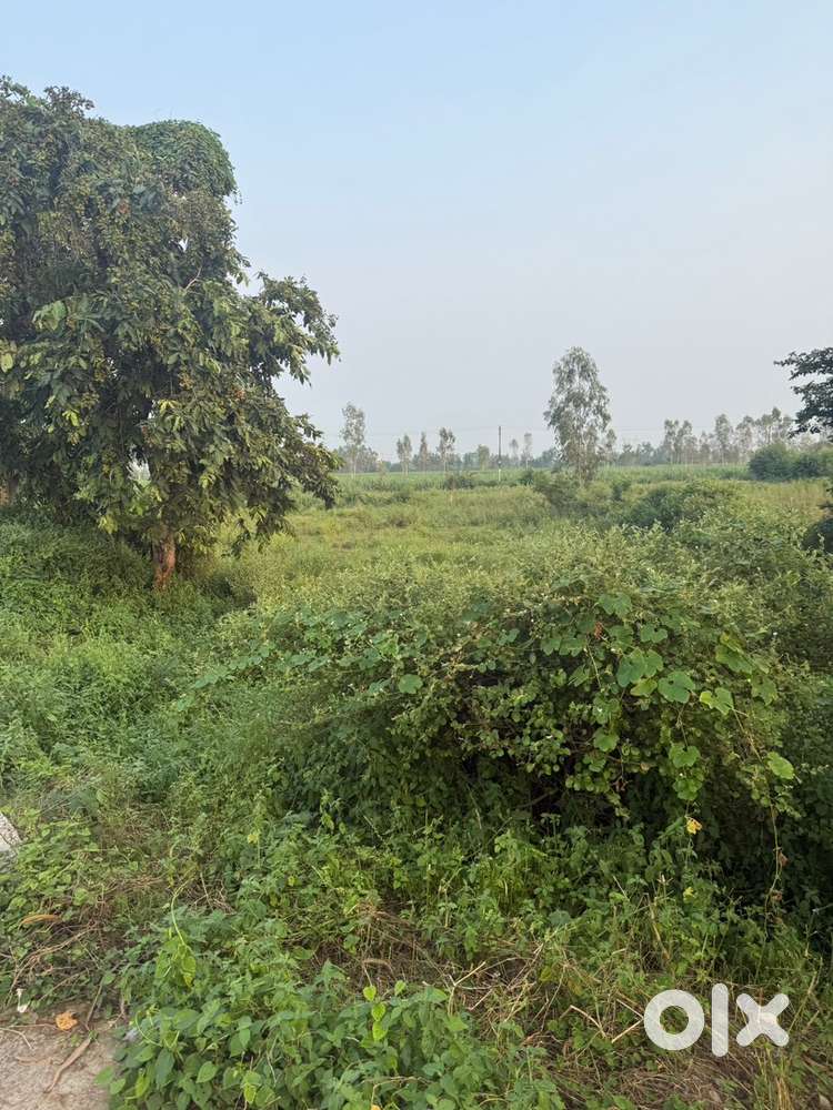 Highway land gajraula