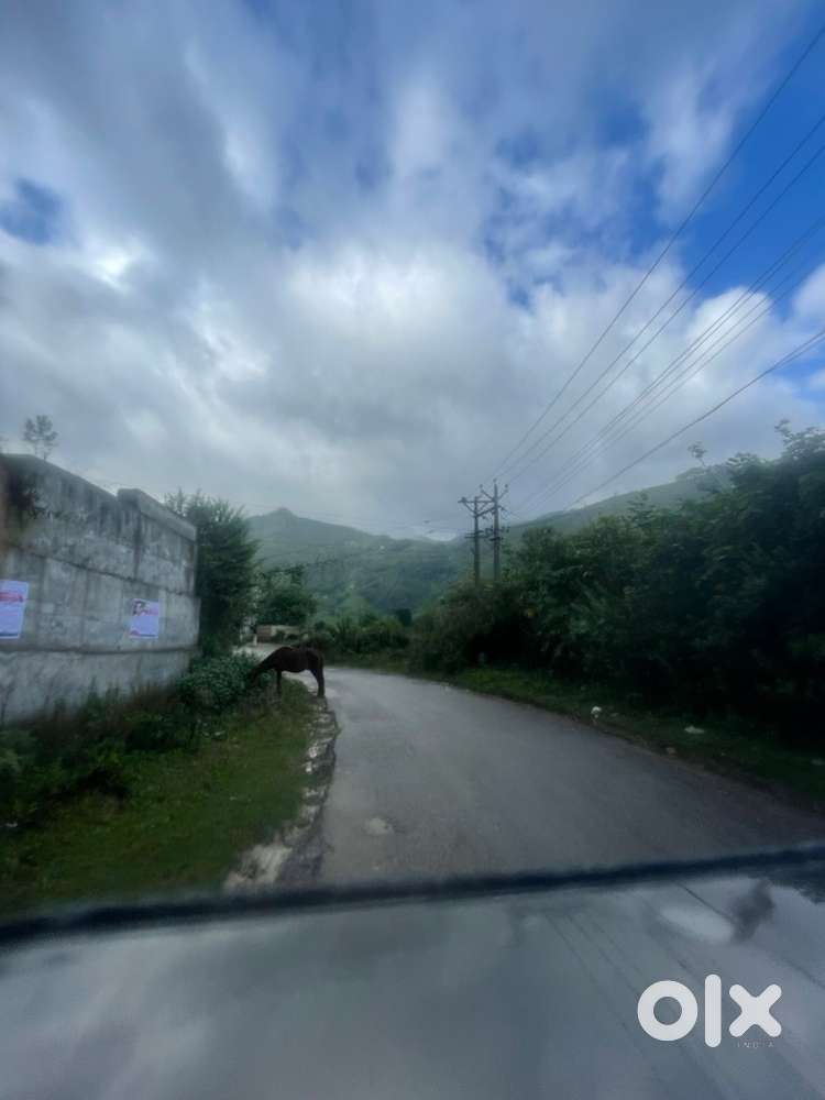 Need momos and chow mein chef