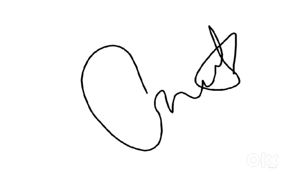 Pest control service