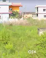 Naranadihi Plot, Banapur - Balugaon, Near Highway