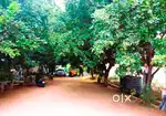 கிழக்கு வடக்கு பார்த்த Land  Plot உள்ளது