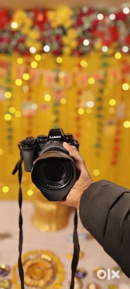 Lumix s5 with 20-60mm