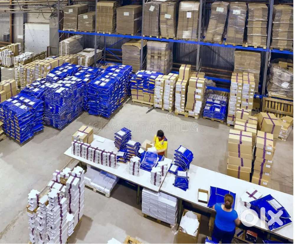 LOOKING CANDIDATES FOR WAREHOUSE COMPANY