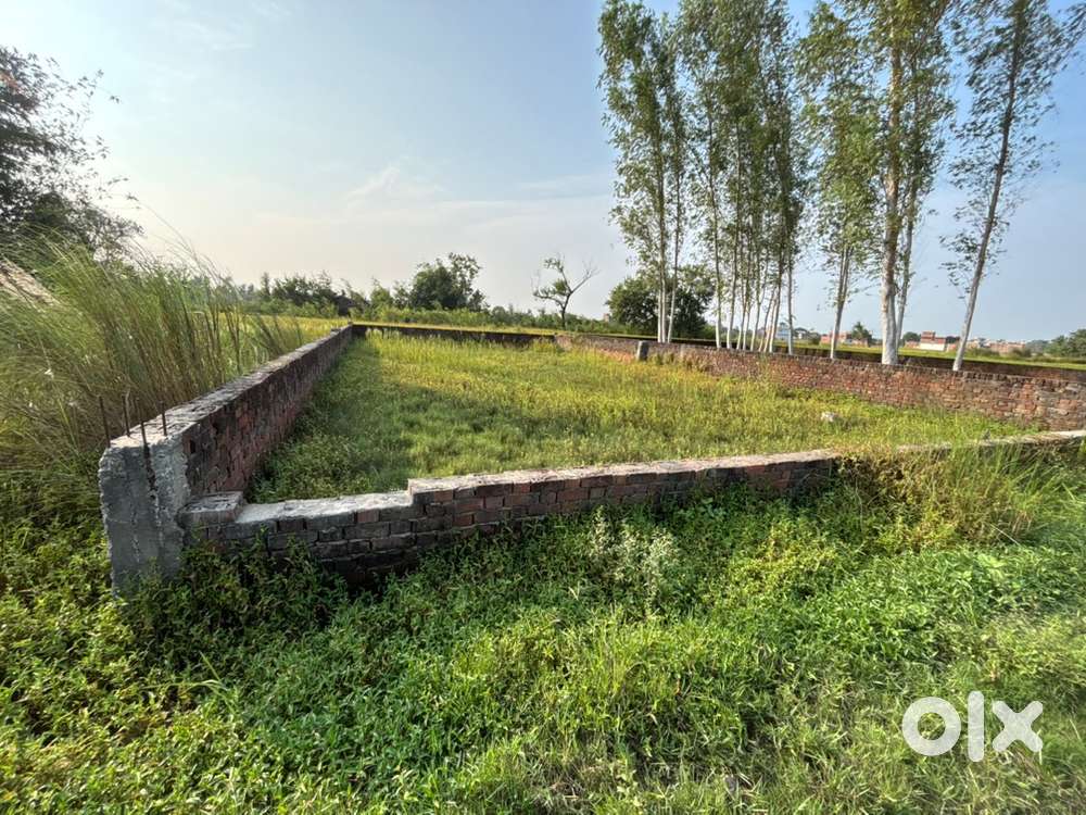 Plot availabe for Sale & Investement