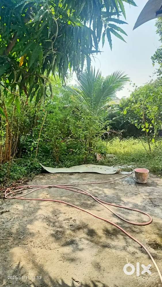 1Rk/paying guest(PG)independent house (Both available), WIFI internetl