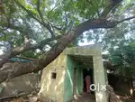 Own House selling