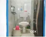 A113, GALI NO. 05, PHASE-05, AYANAGAR EXTN., NEW DELHI-47